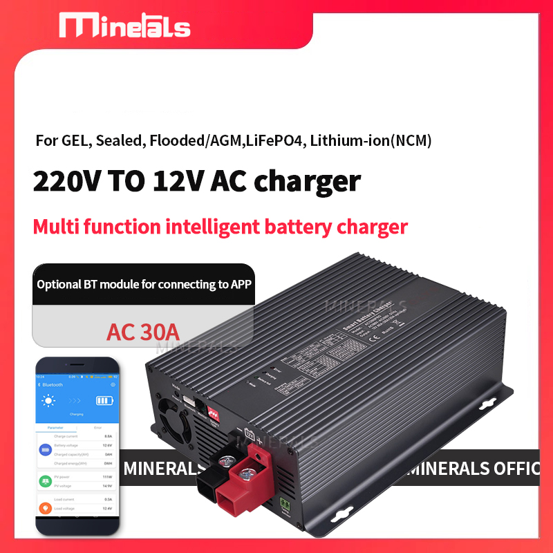 Умное зарядное устройство для  – обзор и цена Lithium Battery 12V